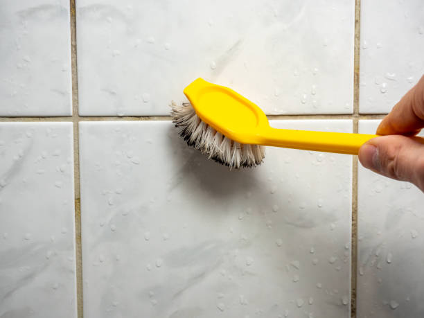 Best Black Mold Removal  in Tenaha, TX