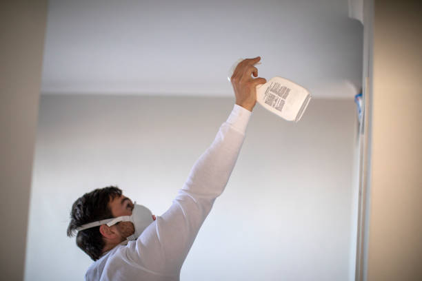 Best Residential Mold Removal  in Tenaha, TX