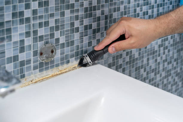 Reliable Tenaha, TX Mold Removal Solutions