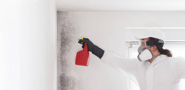 Best Mold Removal Company Near Me  in Tenaha, TX